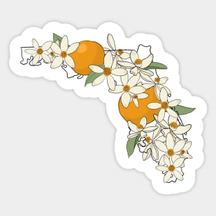 Florida and State Flower the Orange Blossom Sticker